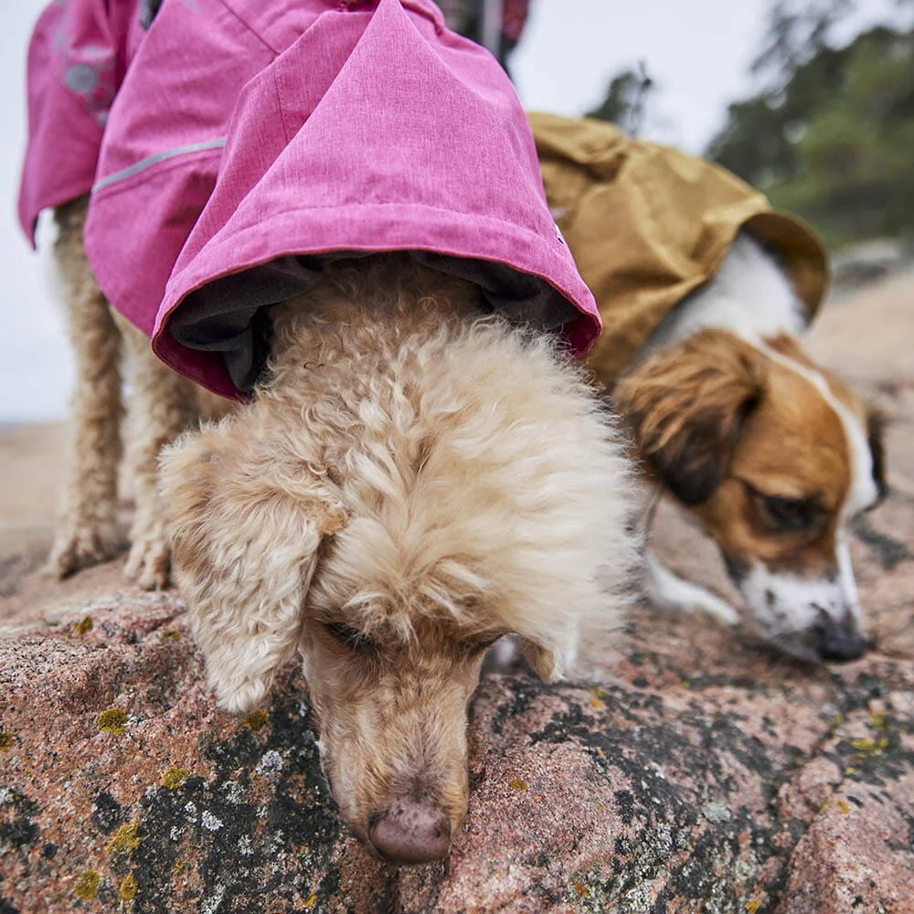 Hurtta Monsoon Coat II ECO – Wasserdichter Regenmantel für Hunde