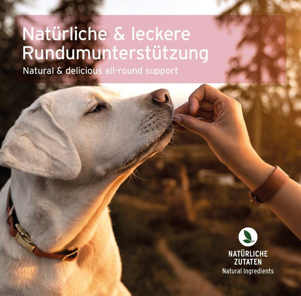 AniForte® 4in1 Snack für Hunde – mit Rinderpansen