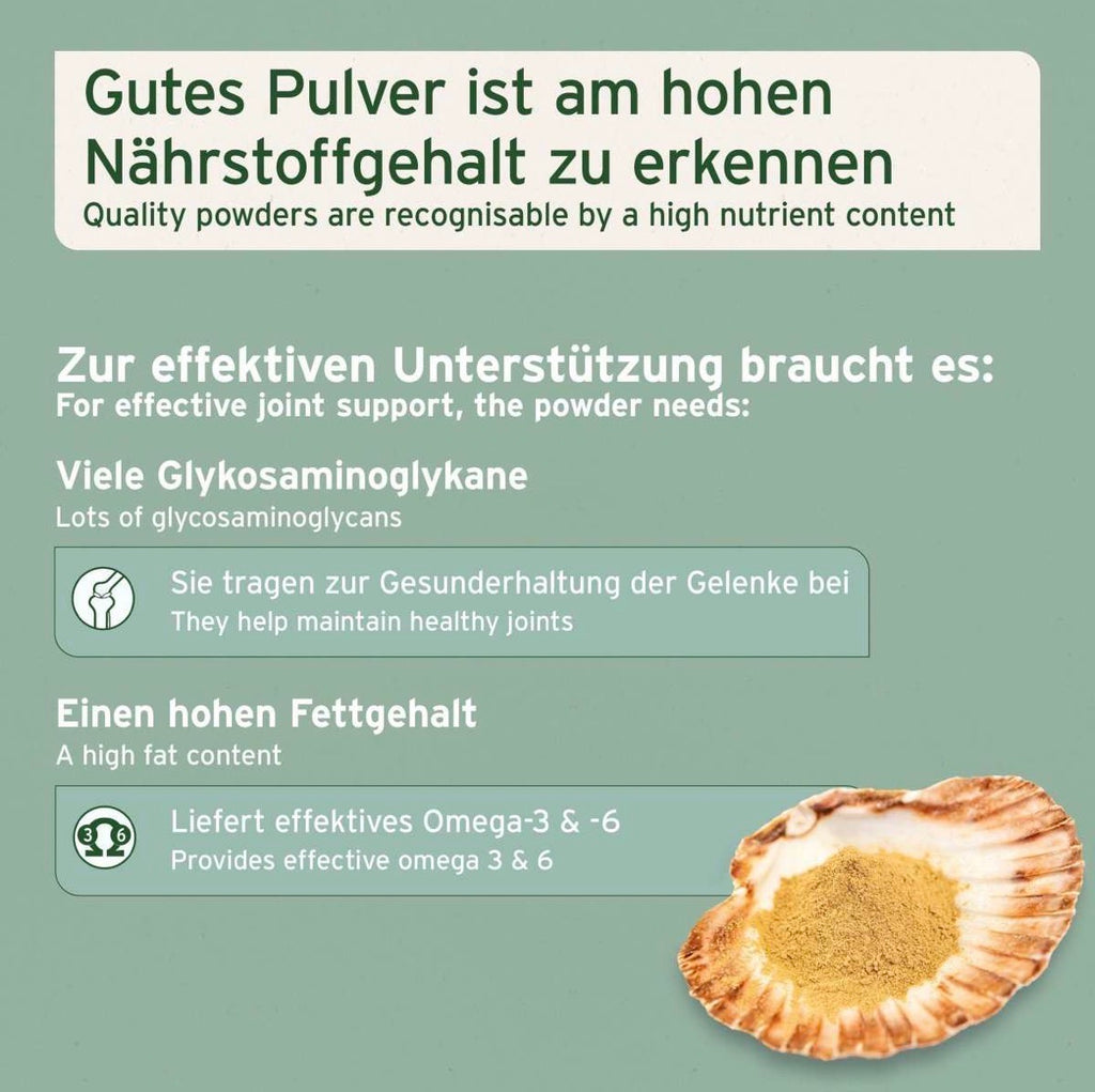 AniForte® Grünlippmuschel Kapseln für Hunde – Gelenke & Beweglichkeit