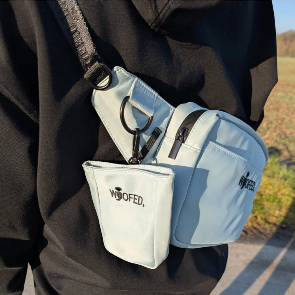 Multifunktionale Gassitasche 2-in-1 – Bauch- & Schultertasche