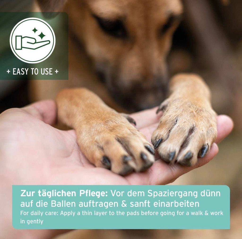 AniForte® Pfotenschutz Balsam für Hunde – Pfotenpflege
