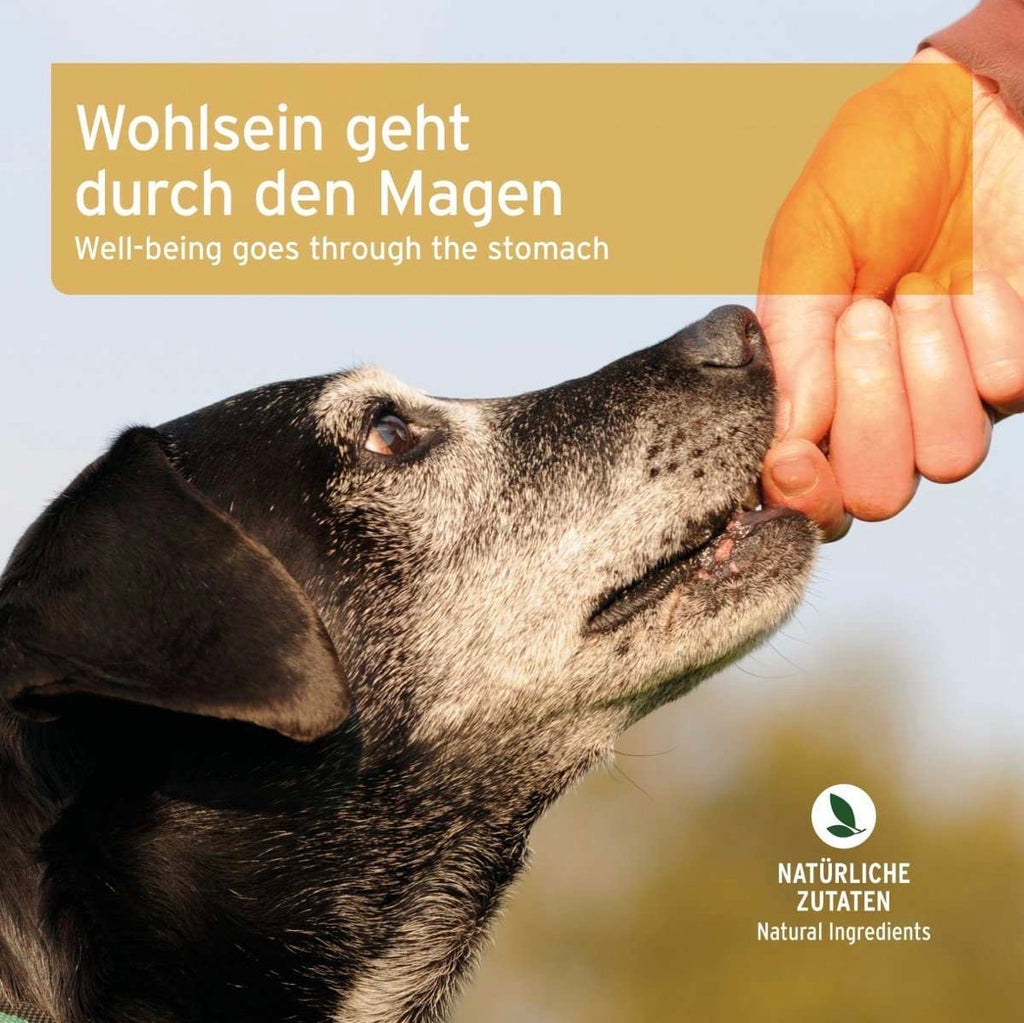 AniForte® Magen & Darm Snack für Hunde – mit Hähnchen - 300 g
