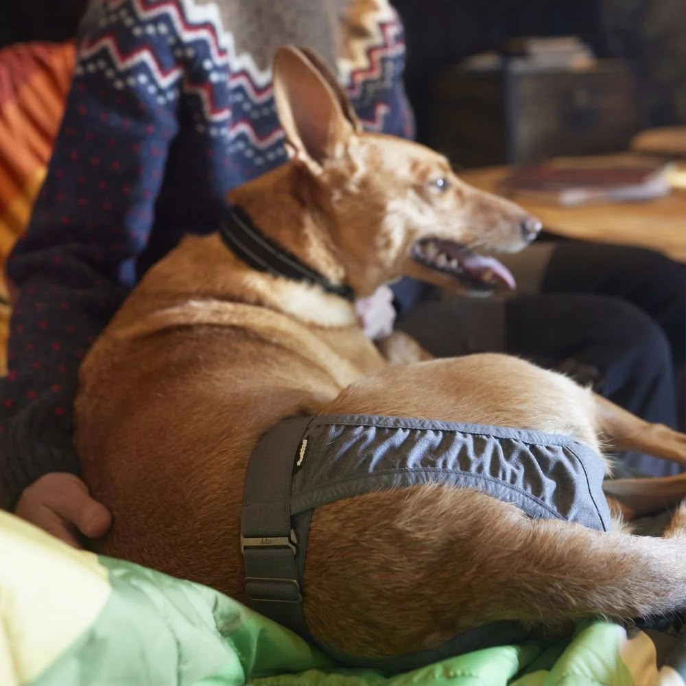 Hurtta Breezy Hygiene Pants ECO – Läufigkeitshose für Hunde