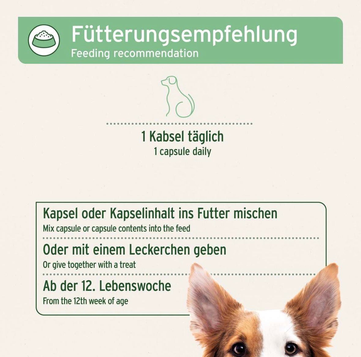 AniForte® ZeckenSchild Kapseln für Hunde