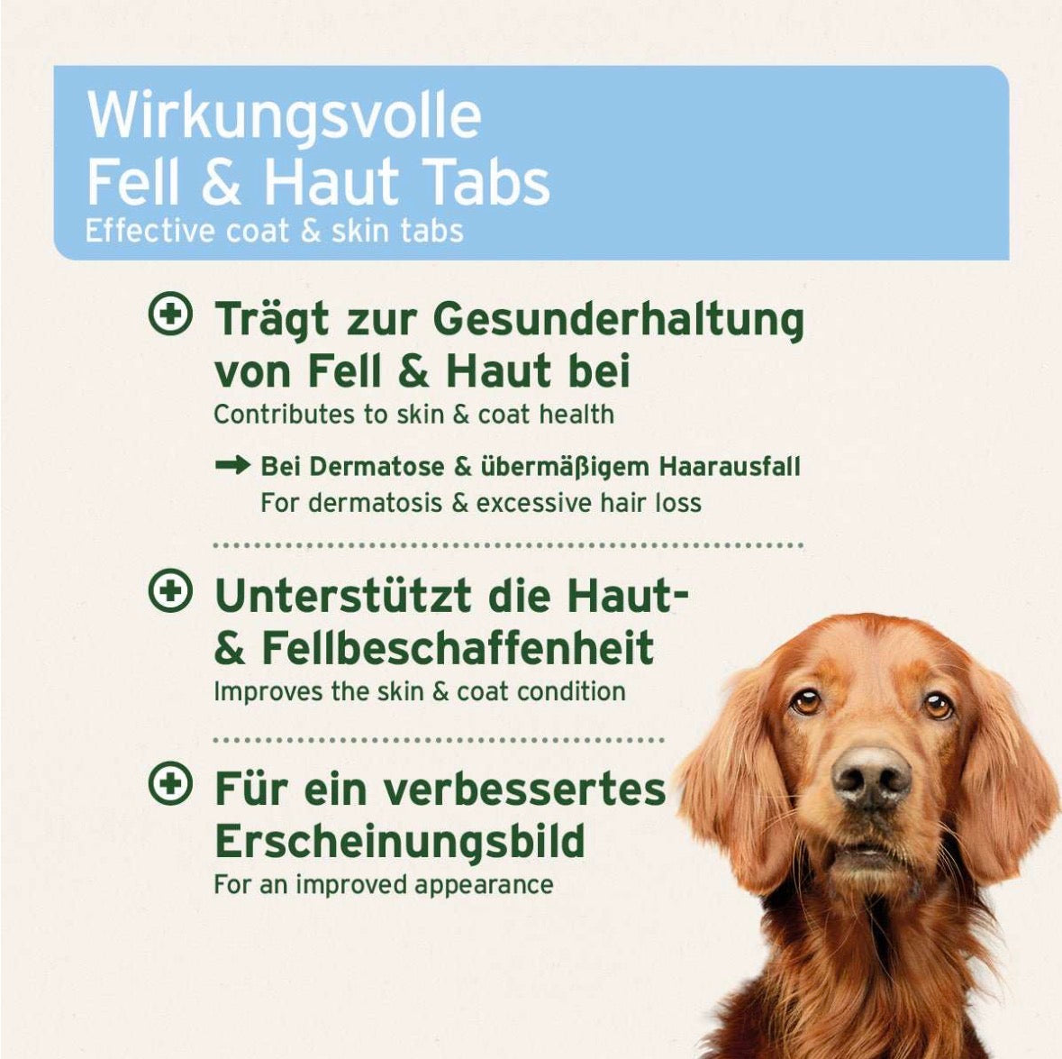 AniForte® plus Fell & Haut – 90 Tabletten für Hunde