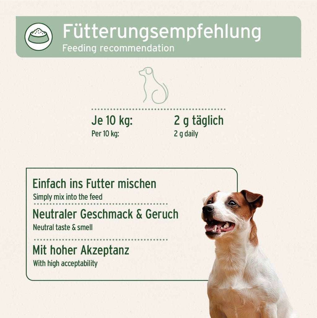AniForte® Kollagen Pulver für Hunde – Futterergänzung für gesunde Gelenk- und Knochenfunktionen