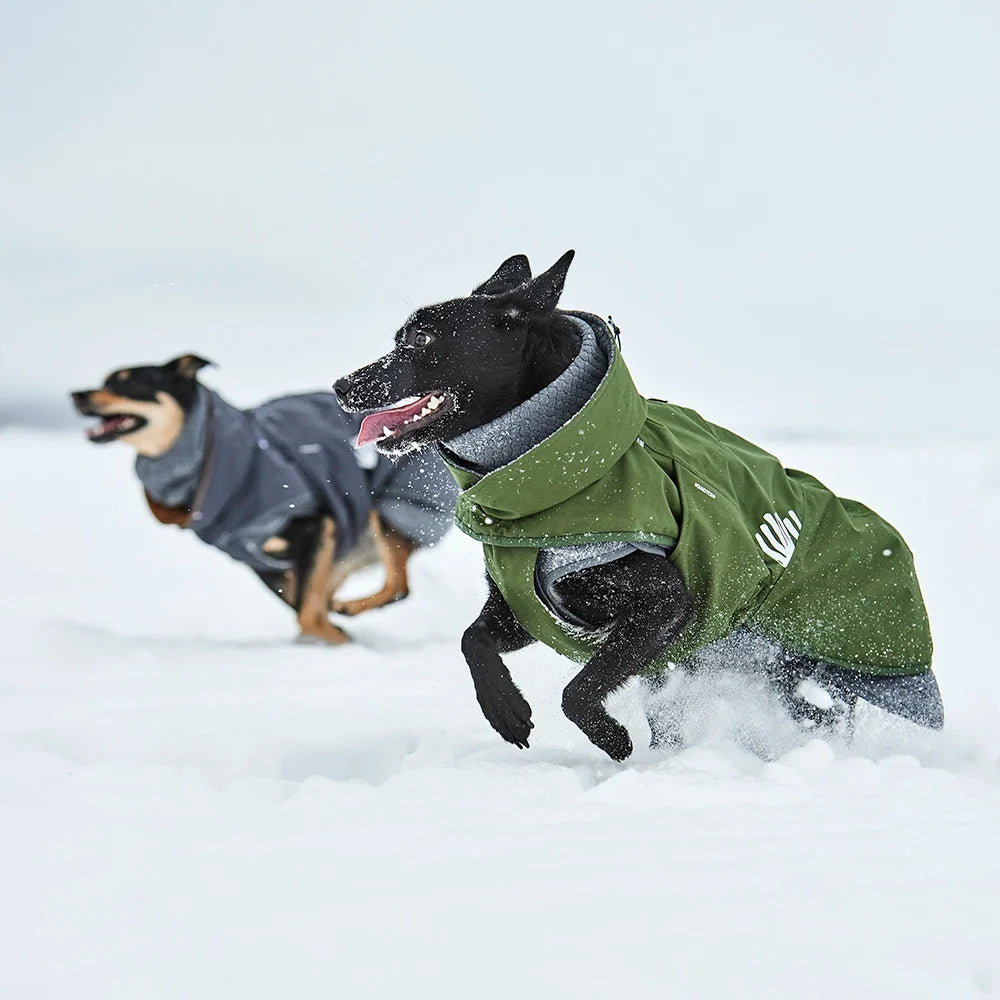 Hurtta Walk All-Season Jacket – wasserdichte Übergangsjacke für Hunde