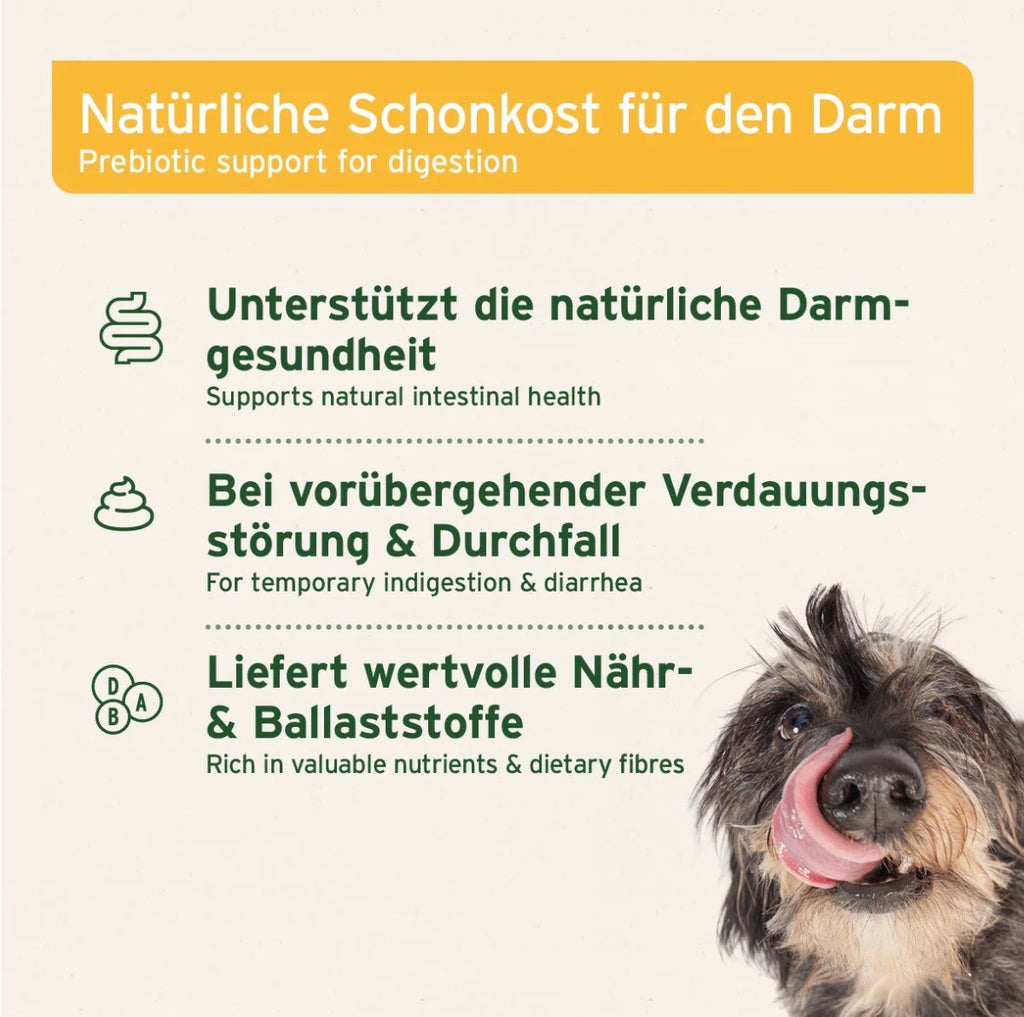 AniForte® Bio Morosan – Karotten-Schonkost, 6 × 100 g