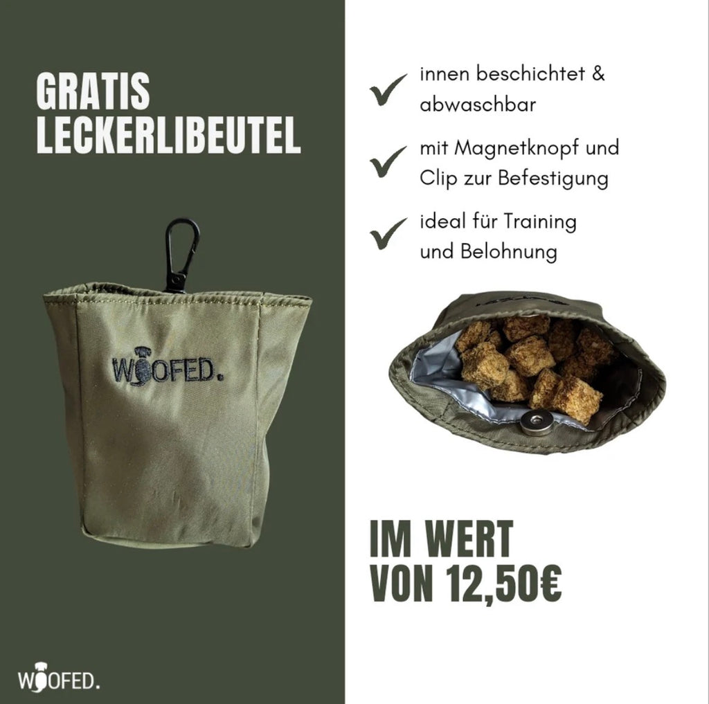 Multifunktionale Gassitasche 2-in-1 – Bauch- & Schultertasche