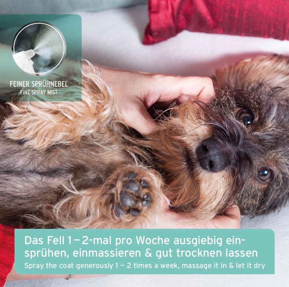 AniForte® Fellgeruch-STOP Spray für Hunde – 200 ml