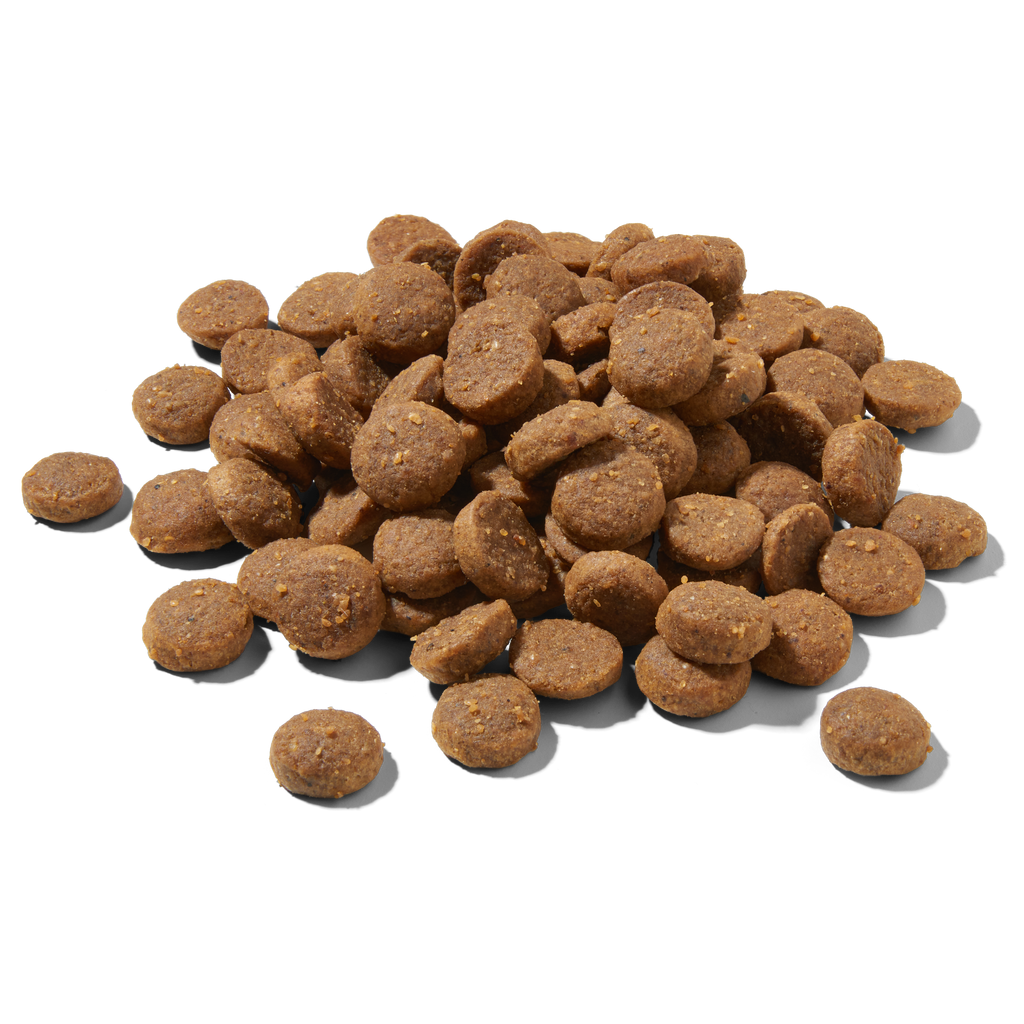 Premium Trockenfutter JUNIOR Lamm