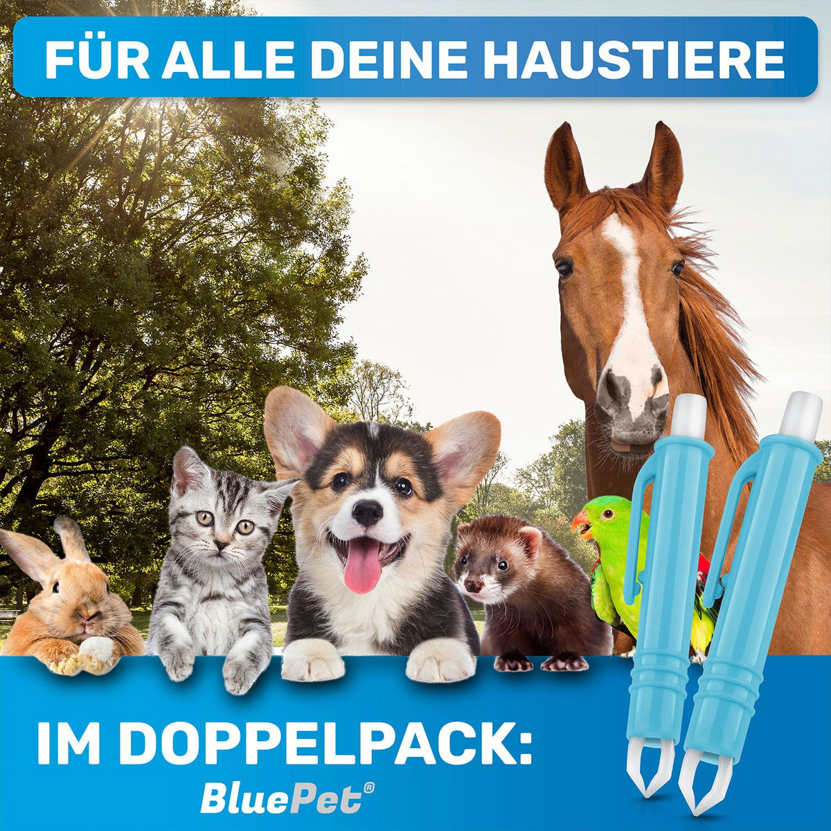 BluePet Zeckenpinzette – Produktansicht 3