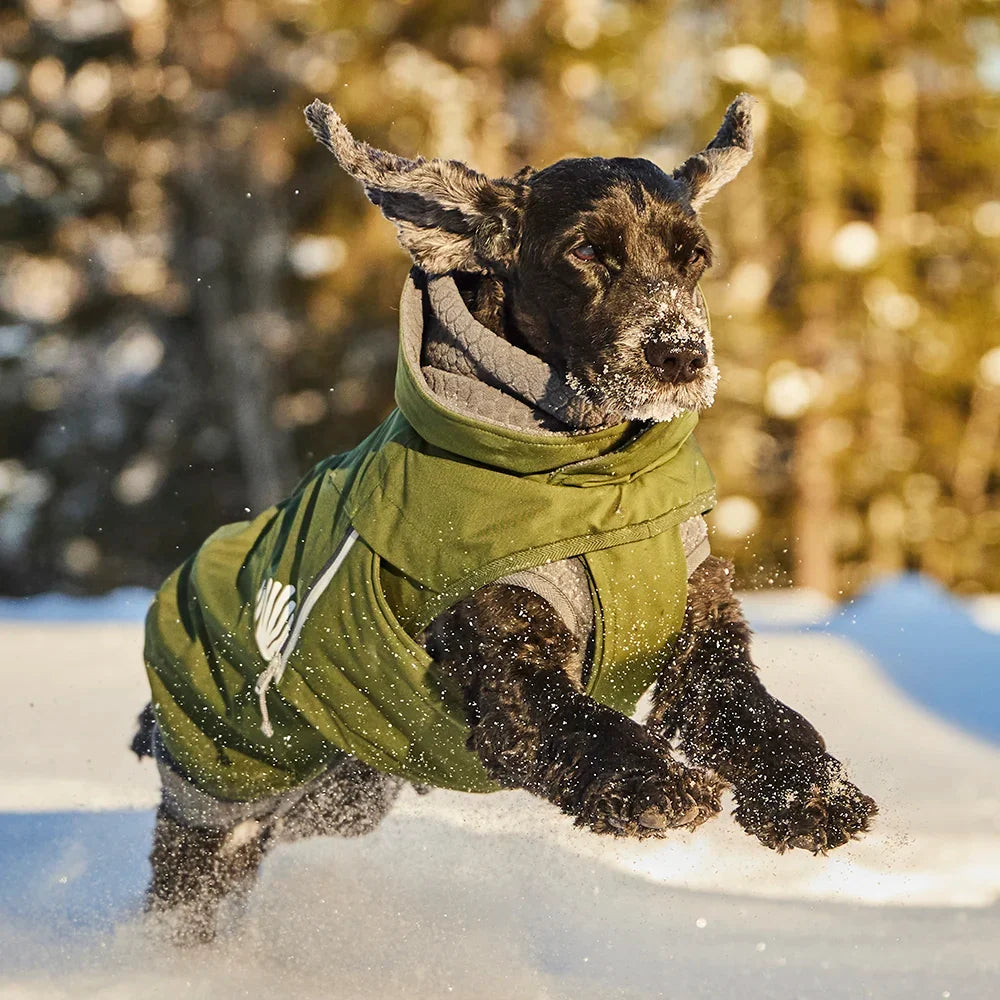 Hurtta Walk All-Season Jacket – wasserdichte Übergangsjacke für Hunde