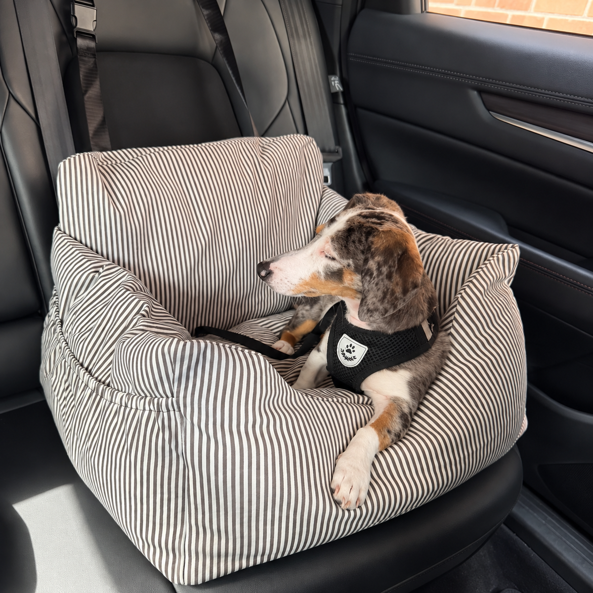 Premium Hunde Autositz mit Sicherheitsgurt