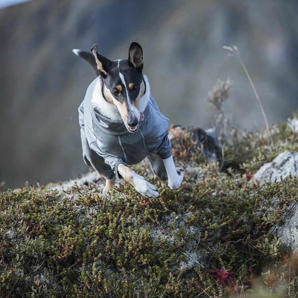Hurtta Body Warmer – Wärmender Hundeoverall mit Thermofunktion