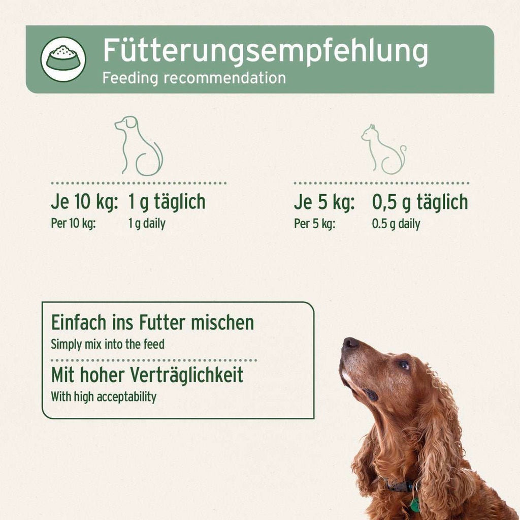 AniForte® MSM Pulver für Hunde – organischer Schwefel für Gelenke - 300 g