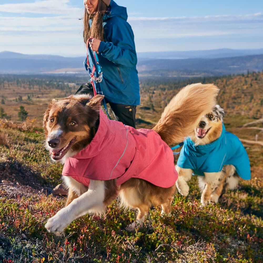 Hurtta Expedition Parka II – Warmer Wintermantel für Hunde