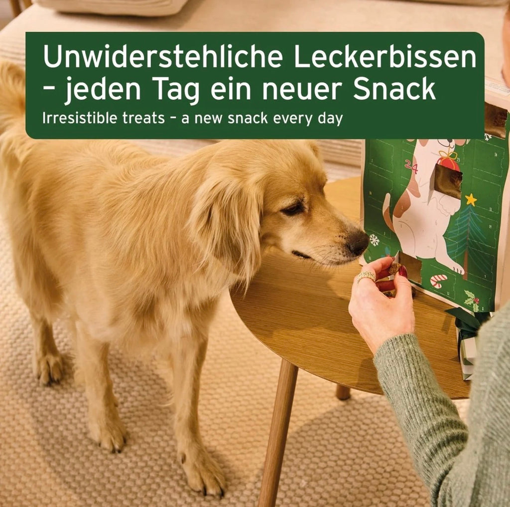 AniForte® Adventskalender 2026 für Hunde – 24 natürliche Snack-Überraschungen