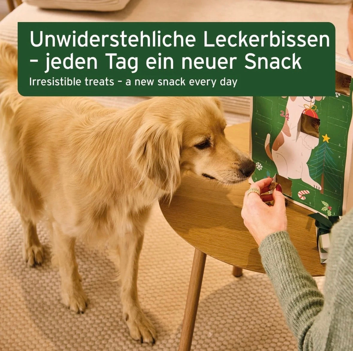 AniForte® Adventskalender 2026 für Hunde – 24 natürliche Snack-Überraschungen