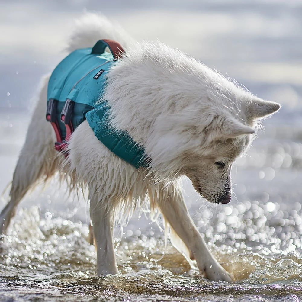 Hurtta Life Savior ECO – Schwimmweste für Hunde