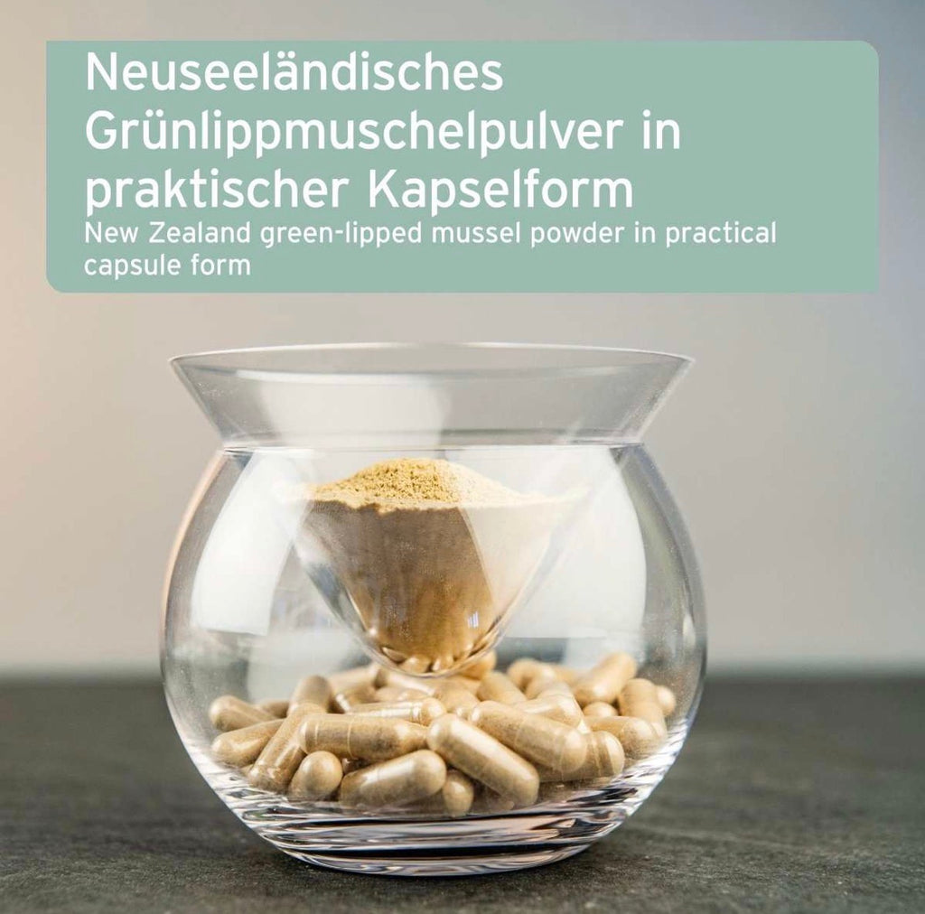 AniForte® Grünlippmuschel Kapseln für Hunde – Gelenke & Beweglichkeit