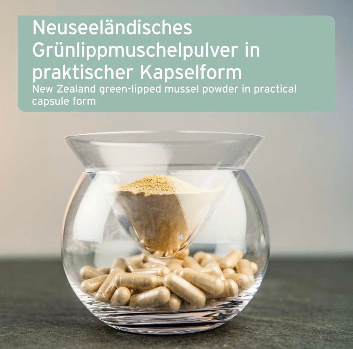 AniForte® Grünlippmuschel Kapseln für Hunde – Gelenke & Beweglichkeit