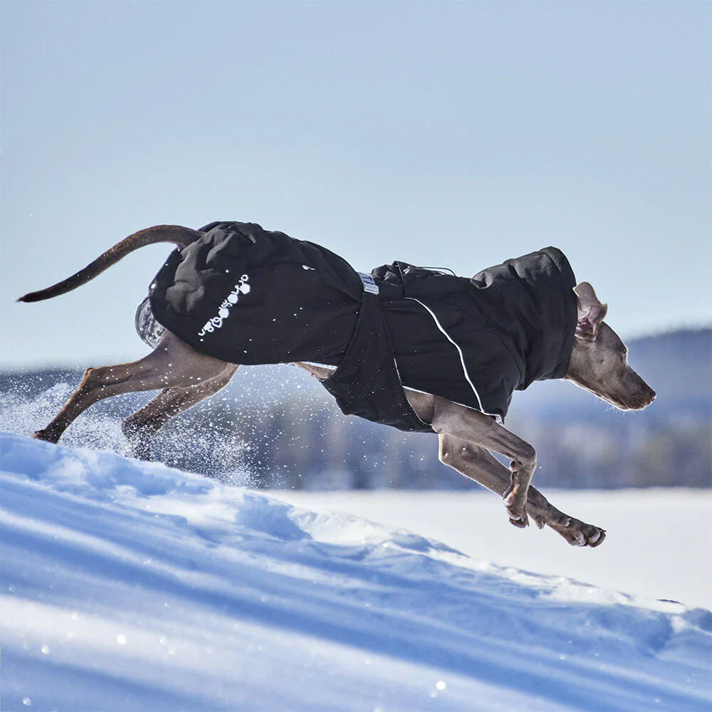 Hurtta Extreme Warmer III ECO – Extra warmer Wintermantel für Hunde