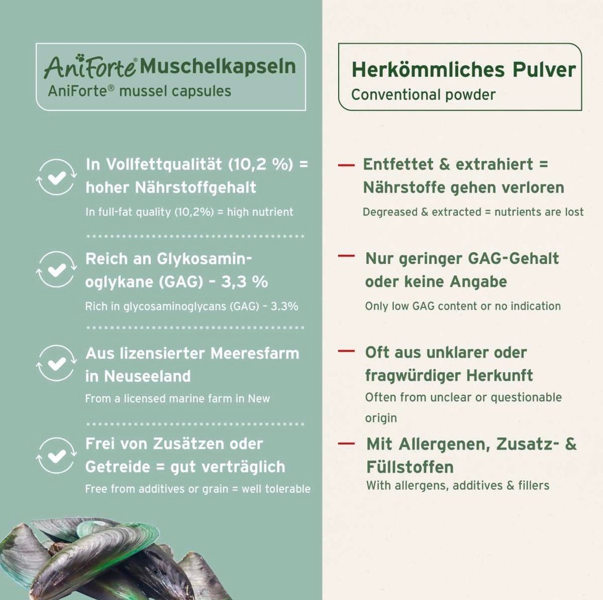AniForte® Grünlippmuschel Kapseln für Hunde – Gelenke & Beweglichkeit