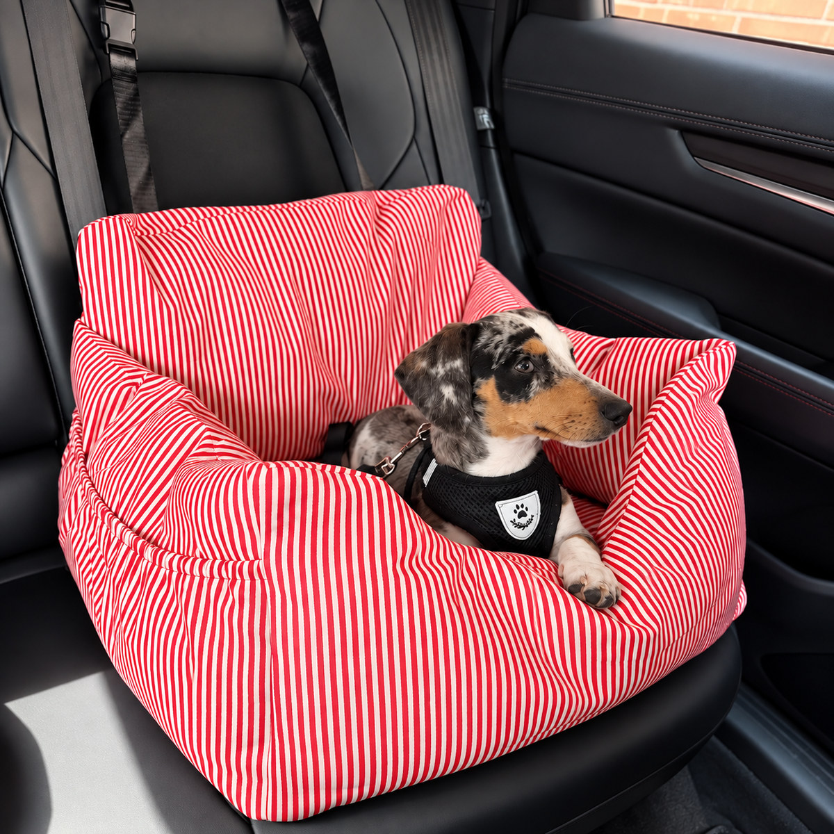 Premium Hunde Autositz mit Sicherheitsgurt