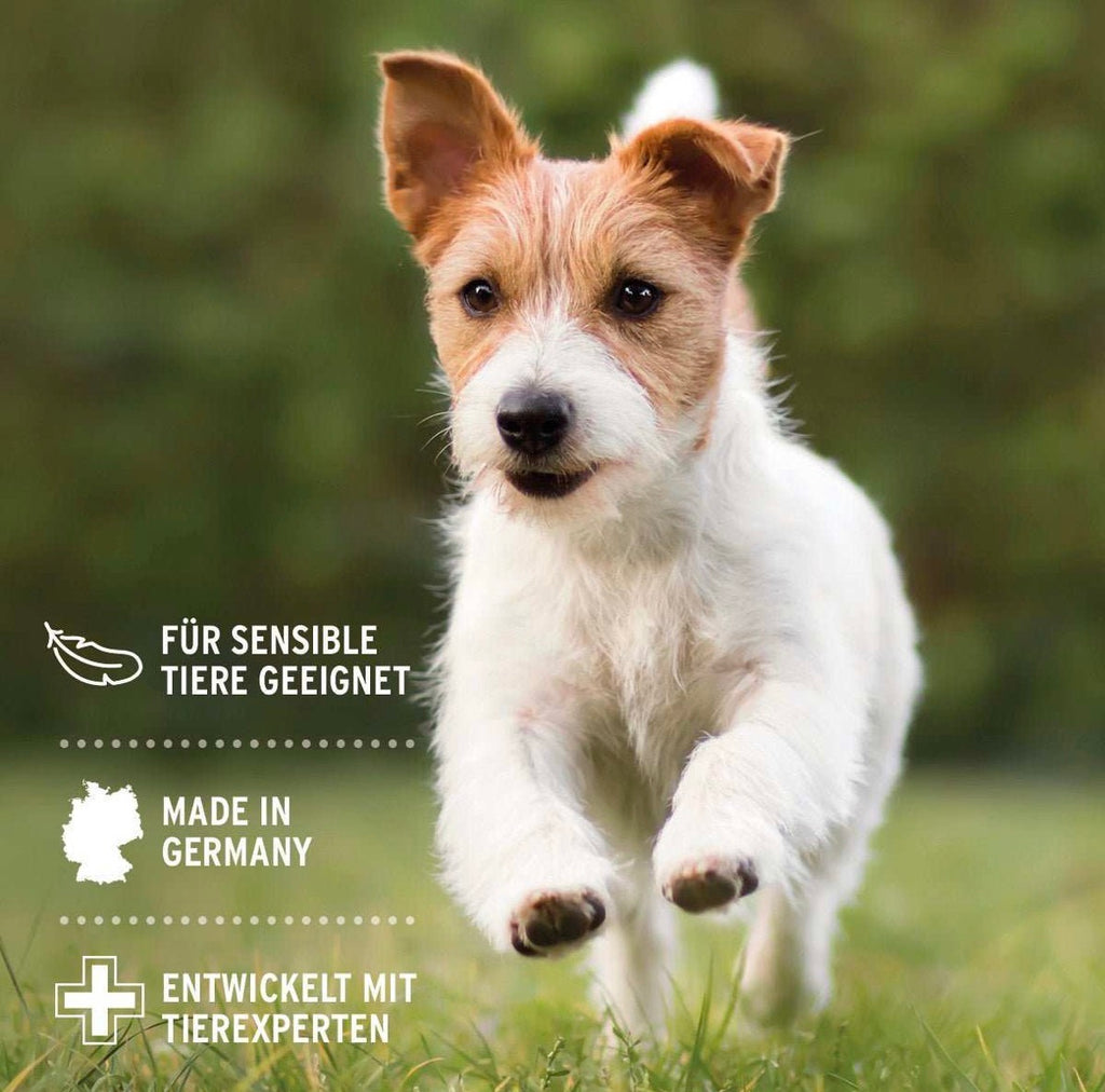 AniForte® VET Ohrenreiniger Kamille für Hunde – 250 ml