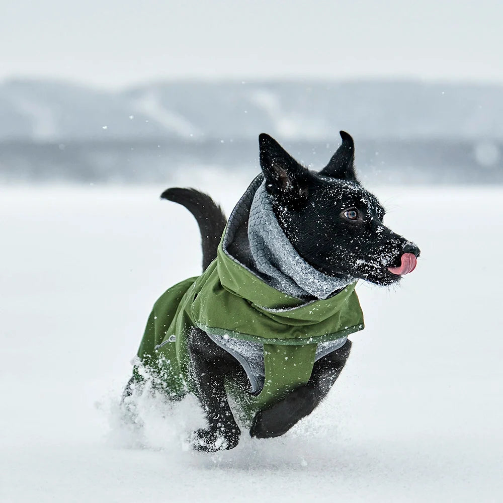 Hurtta Walk All-Season Jacket – wasserdichte Übergangsjacke für Hunde