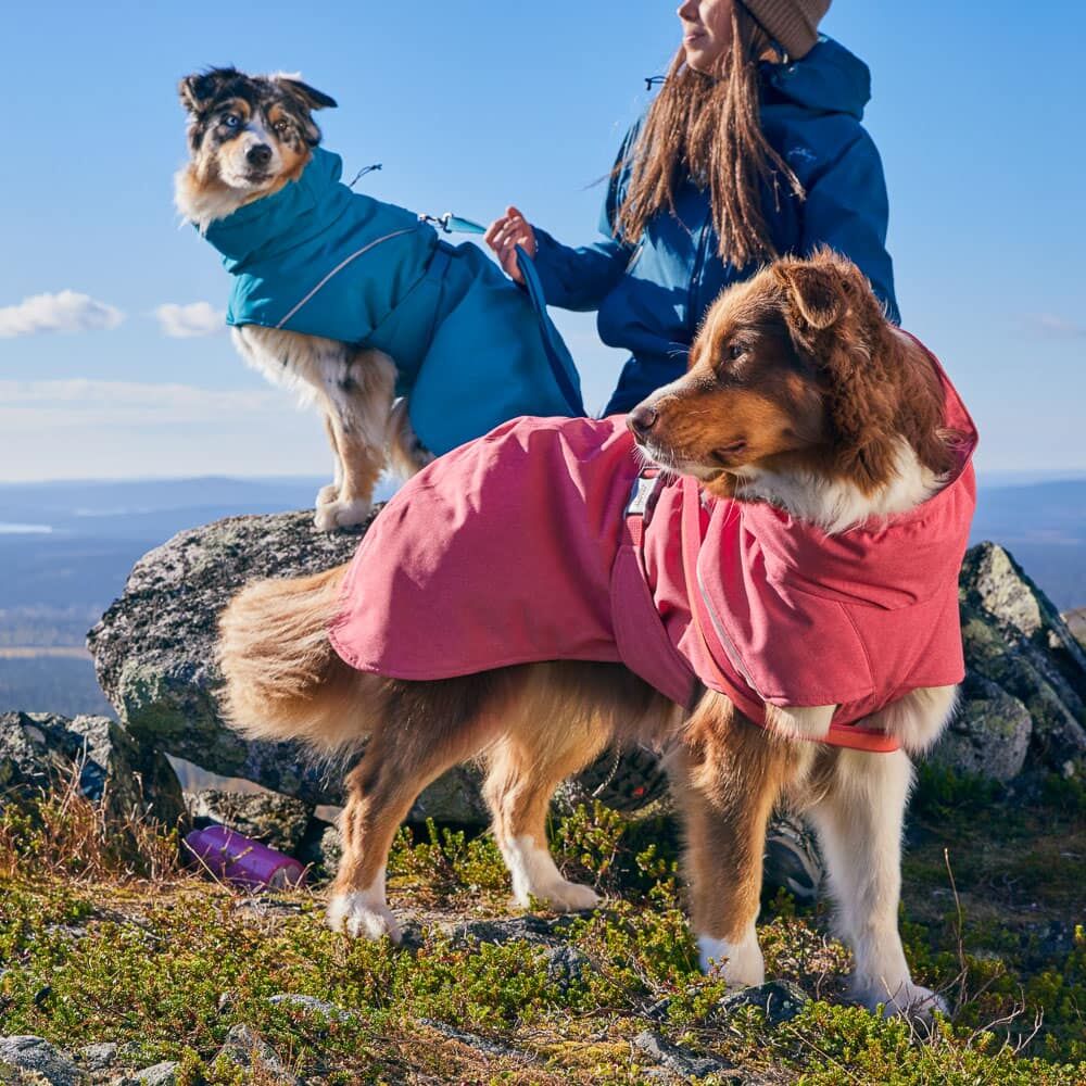 Hurtta Expedition Parka II – Warmer Wintermantel für Hunde