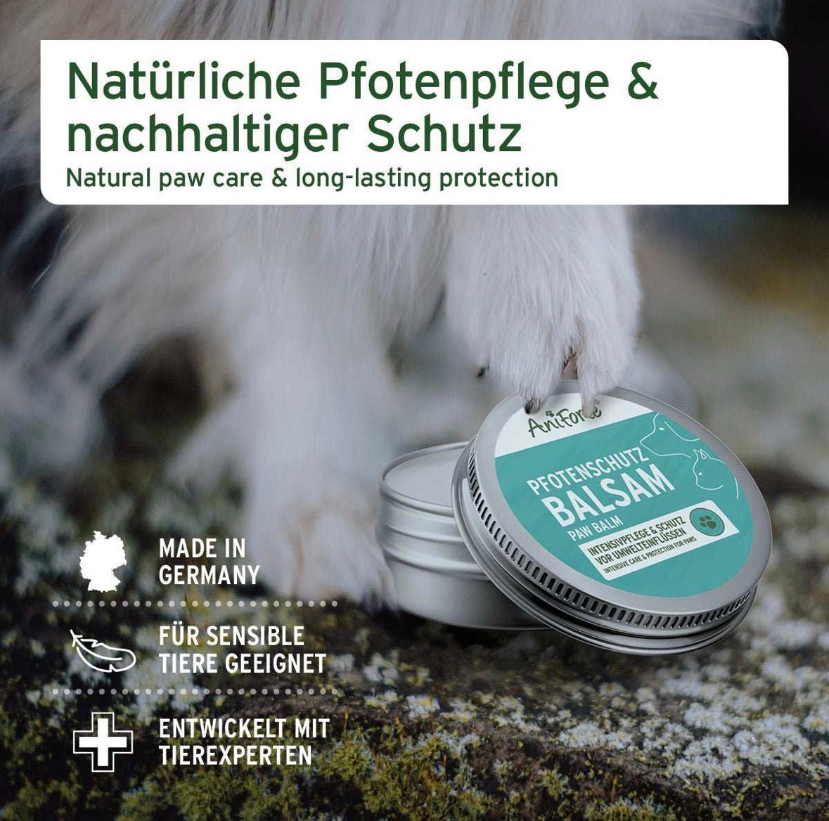 AniForte® Pfotenschutz Balsam für Hunde – Pfotenpflege