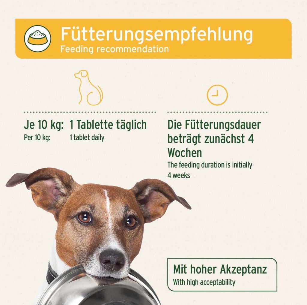 AniForte® plus Probiotikum Tabs für Hunde – Darmflora & Verdauung - 90 Stück