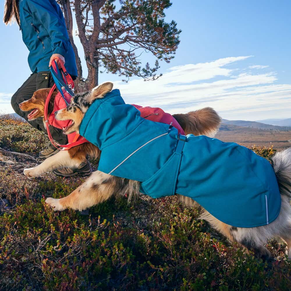 Hurtta Expedition Parka II – Warmer Wintermantel für Hunde