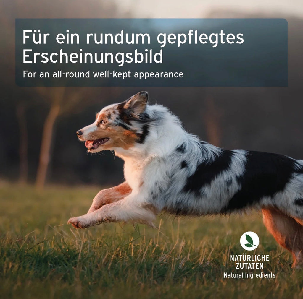 AniForte® Fell & Haut Snack – mit Lamm