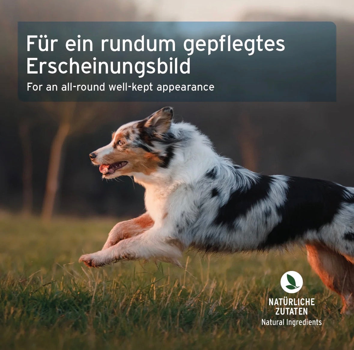 AniForte® Fell & Haut Snack – mit Lamm
