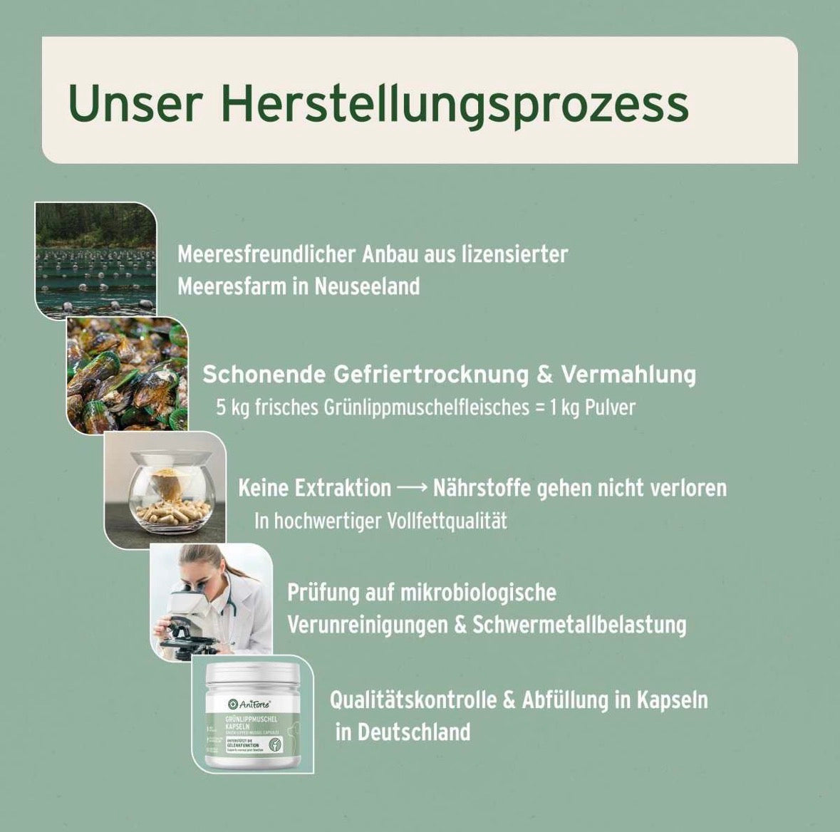 AniForte® Grünlippmuschel Kapseln für Hunde – Gelenke & Beweglichkeit
