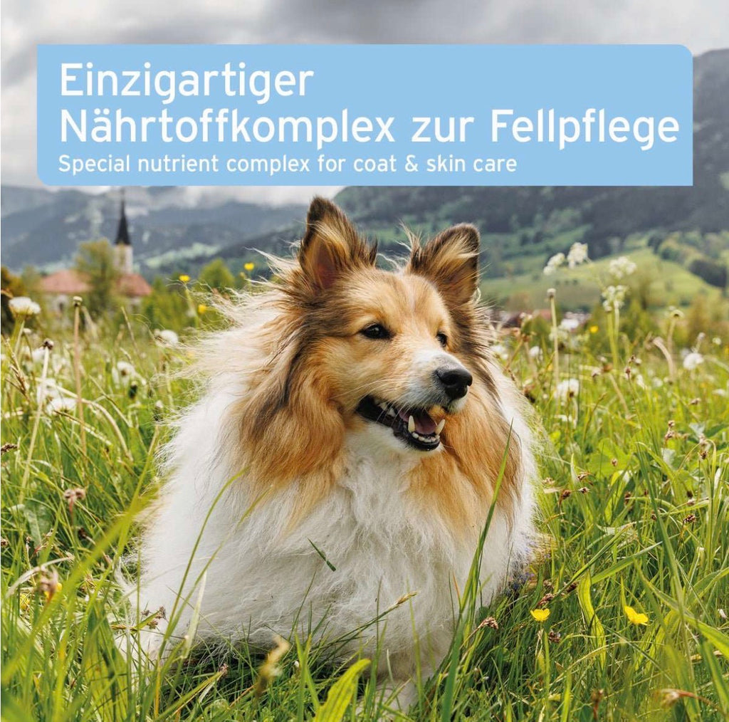 AniForte® plus Fell & Haut – 90 Tabletten für Hunde