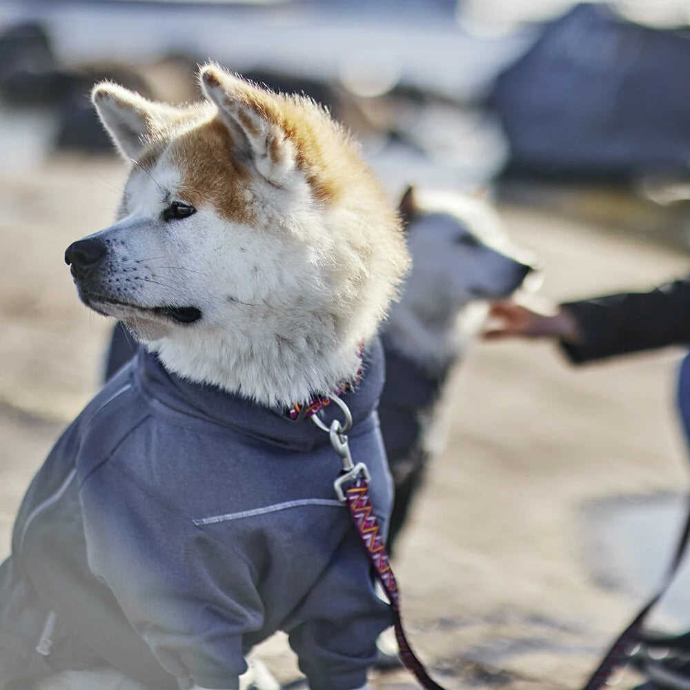 Hurtta Midlayer Overall – Wärmender Hundeoverall für kühle Tage