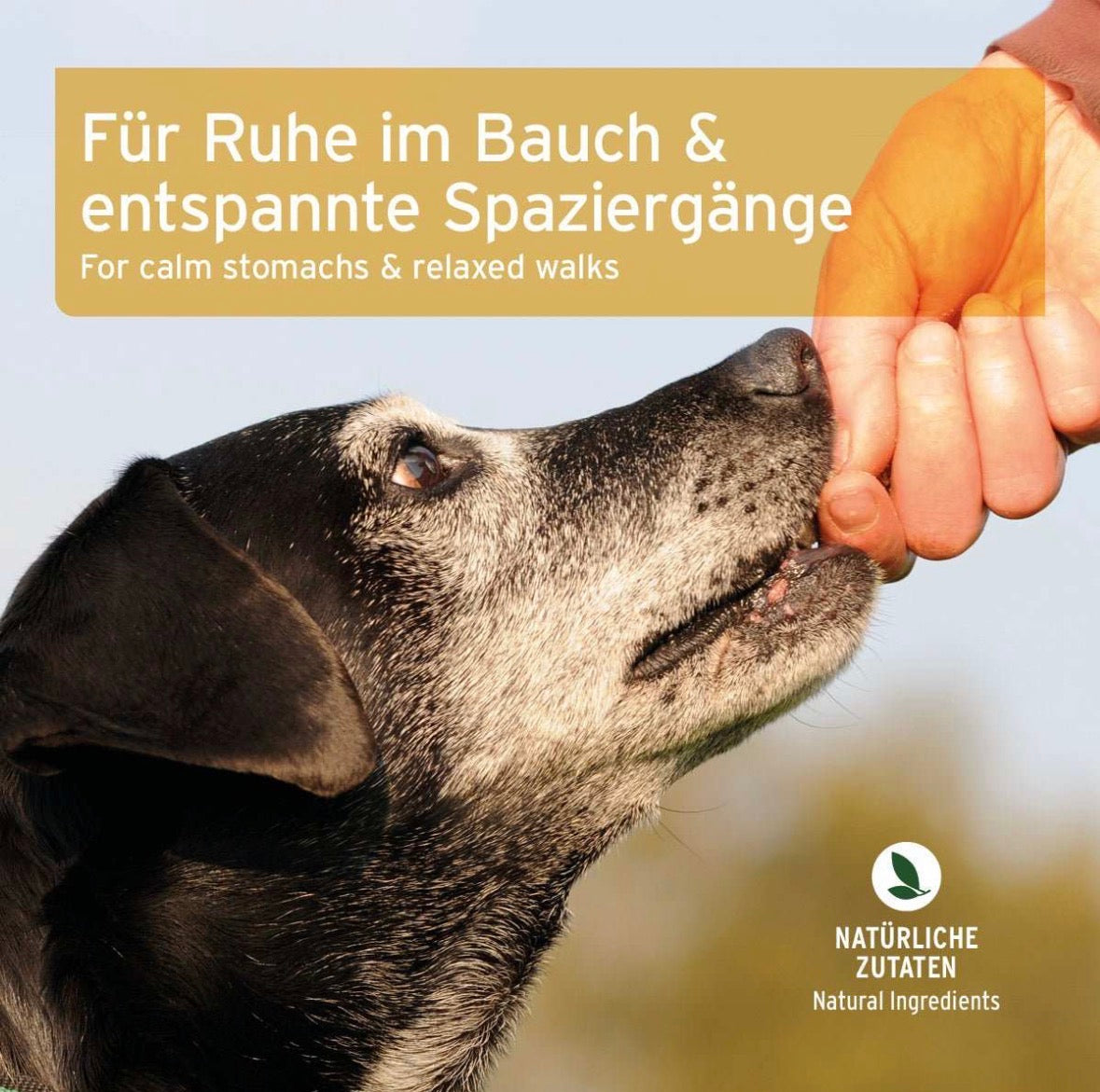AniForte® Gras- & Kotfresser Snack für Hunde – mit Rinderpansen