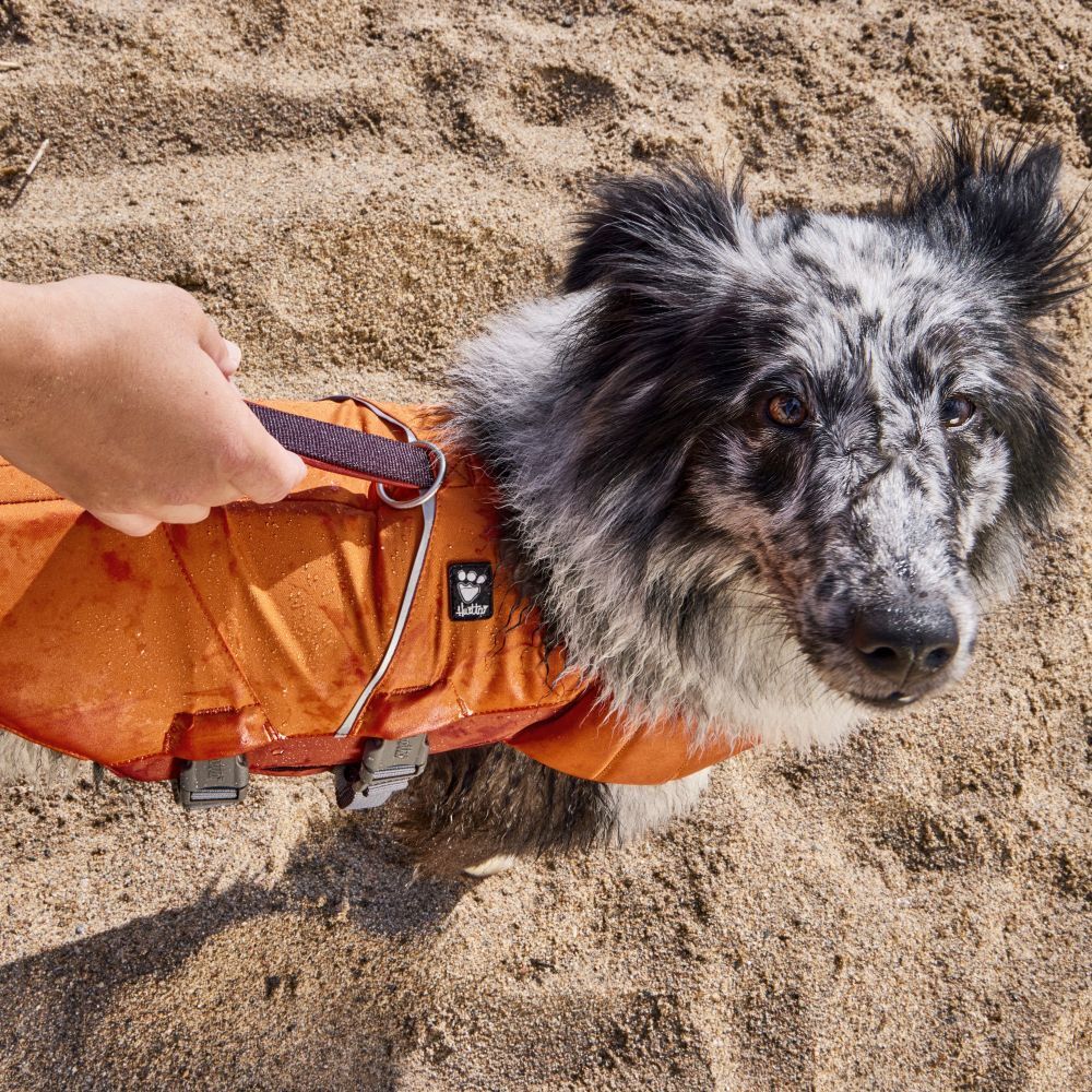 Hurtta Life Savior ECO – Schwimmweste für Hunde