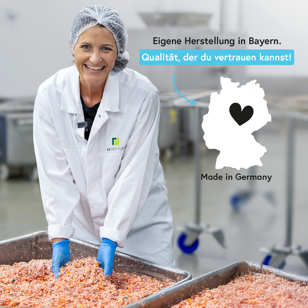 Rind mit Nudeln