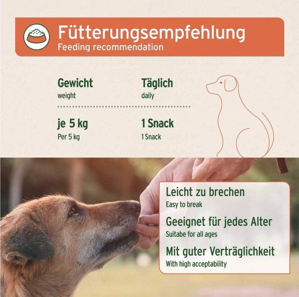 AniForte® Immun-Boost Snack für Hunde – mit Pute