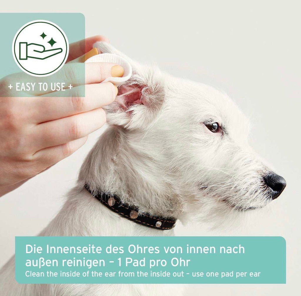 AniForte® Ohren-Reinigungspads mit Aloe Vera für Hunde – 100 Stück