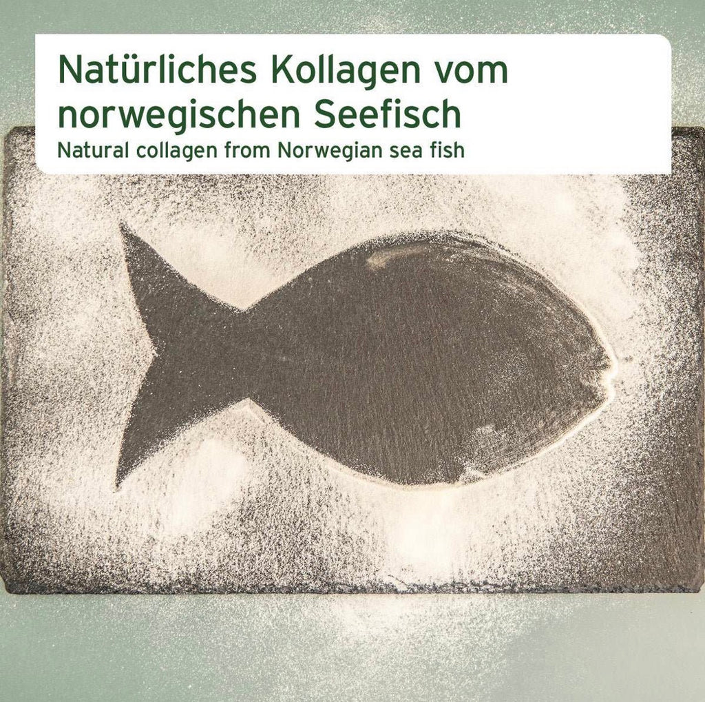 AniForte® Kollagen Pulver für Hunde – Futterergänzung für gesunde Gelenk- und Knochenfunktionen