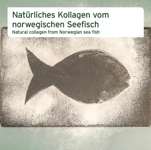 AniForte® Kollagen Pulver für Hunde – Futterergänzung für gesunde Gelenk- und Knochenfunktionen
