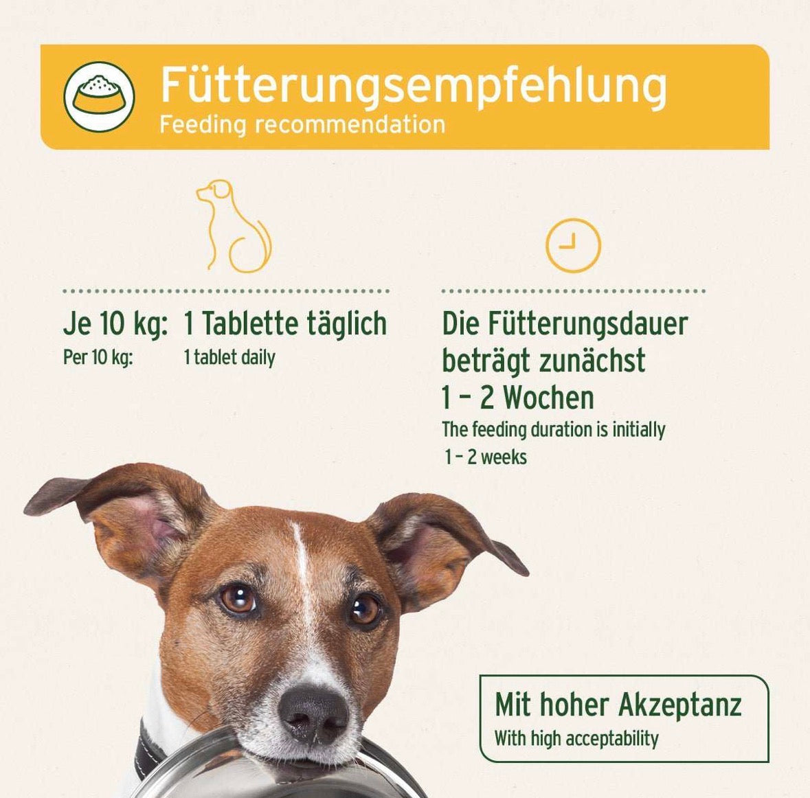 AniForte® plus Magen & Darm
 – 90 Tabletten für Hunde
