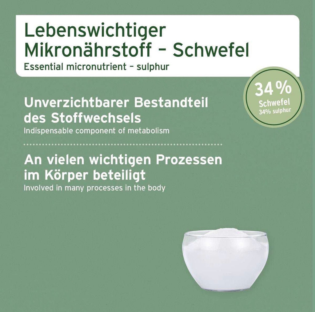AniForte® MSM Pulver für Hunde – organischer Schwefel für Gelenke - 300 g