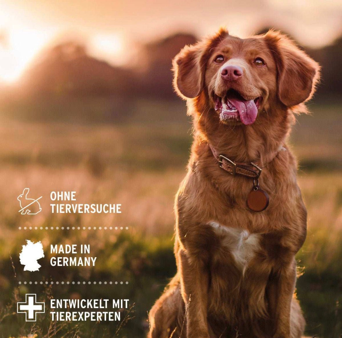 AniForte® Fellharmonie Shampoo Sensitiv für Hunde – 200 ml